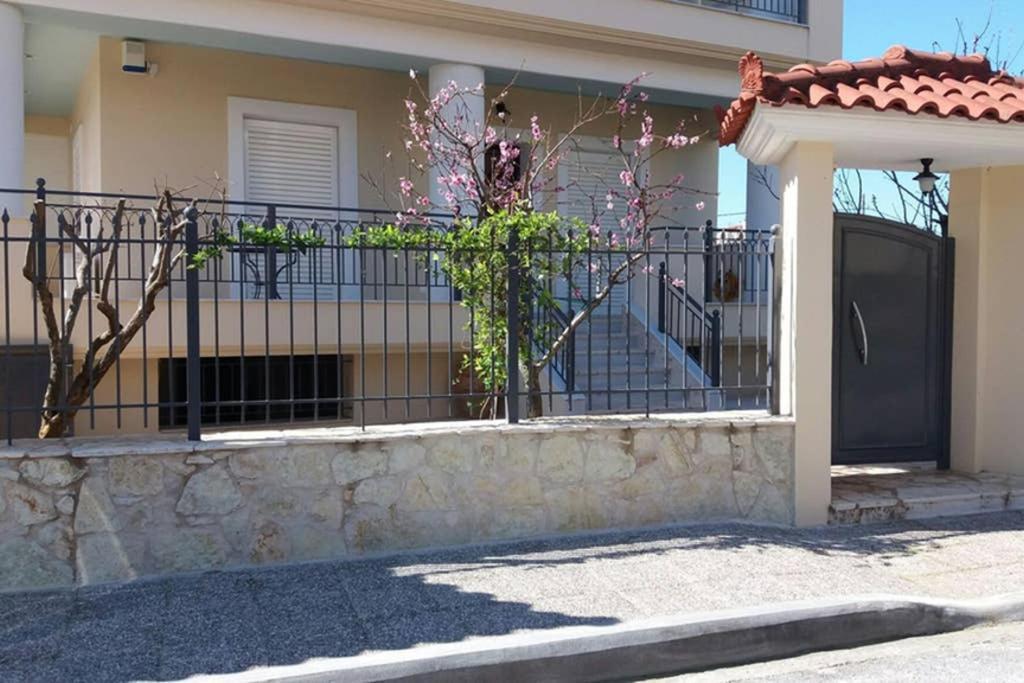 New, Bright, Cozy, Autonomous Apartment With Private Entrance And Garden, 42 M2, 5Min To The Beach And City Center Каламата Экстерьер фото